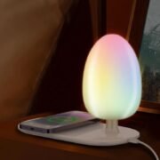 2 in 1 Desk Lamp Mobile Fast Charge Station/Magnetic Wireless Charger Pad, (RGB) LED Light Night lamp with Wireless Charging Function
